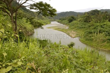 River in the forest in the center of the island of Viti Levu Fiji