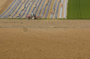 Traktor in der Mitte der Felder in der Elsassfeder