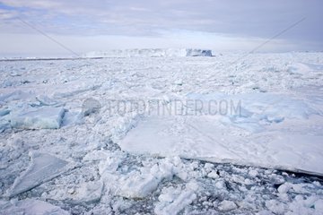 Sea ice Antarctica