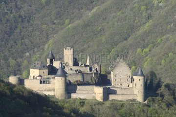 Medieval castle of Bourscheid Luxembourg