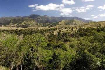 Deforested landscape of the central range New Caledonia