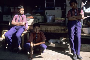Cat lying down near boys wearing a school uniform India