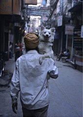 Mann  der auf der Straße geht und den Hisr -Hund Amritsar India trägt