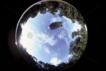 Airship flying over the forest French Guiana