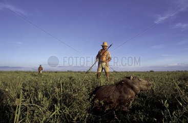 Men approaching a Capybara Marajo Brazil