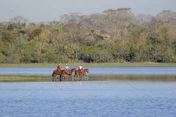 Gauchos on horses pantaneiro water Pantanal Brazil