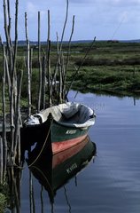 Rowing boat in a coastal swamp Arcachon Bay France