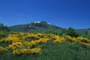 Volcanoes of Auvergne Regional Nature Park