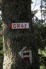 GR 41 in Cher