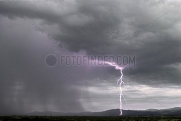 Thunderbolt at the back of an electrical storm France