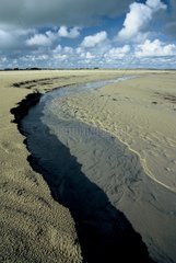Kanal von der Flut an einem Strand von Cotentin Frankreich gegraben