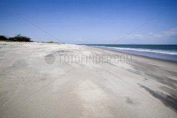 Virgin beach of Pacific coast Panama