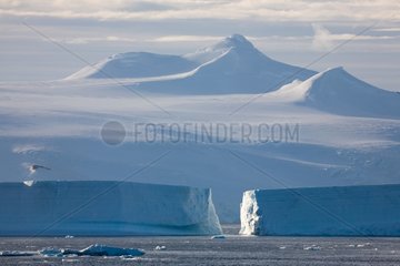 Large icebergs Antarctic Peninsula