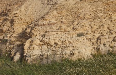 Canyon of Fifa in Jordan