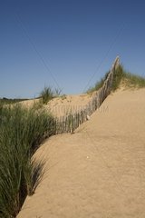Protection of the dune Chevrets in Saint-Coulomb France