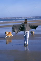 Person walking Dogs on the beach Brittany France