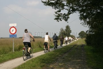 Radfahrergruppe auf einem Green Cycle Track Niederlande