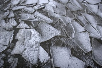 Fragmente einer Eisschicht Deutschland