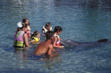 Grand dauphin et enfants Hawaï USA