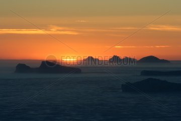Sunset on the ice floe Terre Adelie