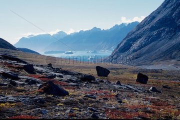 Valley of Sydkap and fjord of the North-West Greenland [AT]