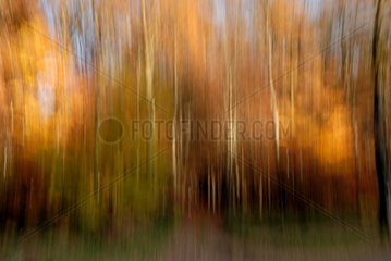 Image motion of Fall Colors France