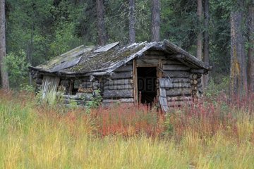 Old hut of trapper in logs Yukon Canada
