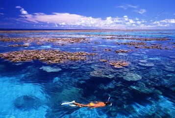 Coral field Atoll Majuro Islands Marshall Oceania