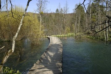 Footbridge in the national park of Plitvice Croatia