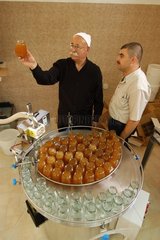 Prüfung des WWF -Libanon -Projekts von Honig Imkere