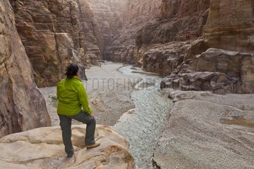 Canyon in the Natural reserve of Mujib in Jordan