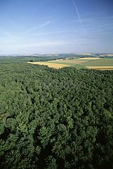 Wald und Felder in der Nähe von Château Thierry Picardy Frankreich
