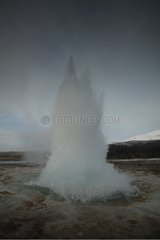 Geyser explosing in winter Iceland