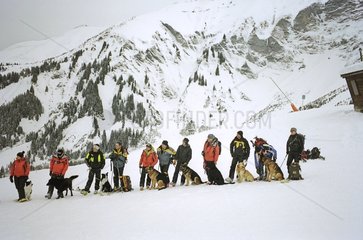 Training dogs the Alps mountain rescue