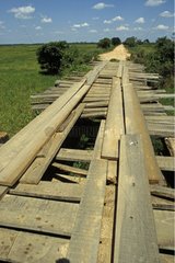 Pont de bois sur la route transpantaneira Pantanal Brésil