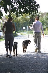 Volunteers walking with dog from a refuge SPA France