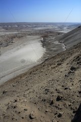 Pampa de Chaca Atacama Desert Chili