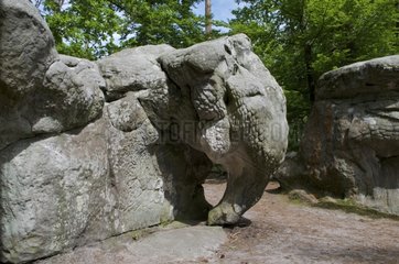 Rock the elephant near Barbizon France