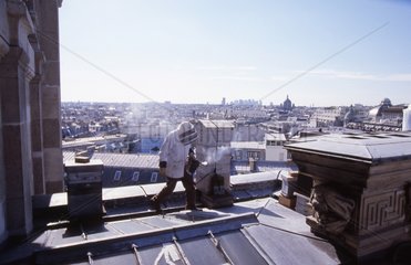 Imker prüft seine Bienenstöcke auf den Dächern von Paris