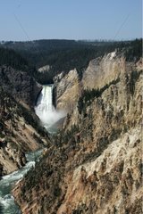Upper Falls and canyon of Yellowstone Yellowstone NP USA