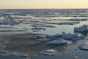 Iceberg et banquise au nord-nord est du Svalbard Spitzberg