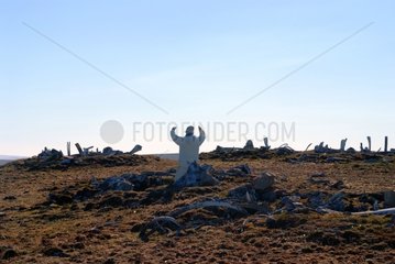 Village paleo eskimo in ruins on Bathurst Island Canada