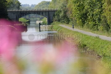 Cyclist on the Véloroute along the Rhone-Rhine Canal
