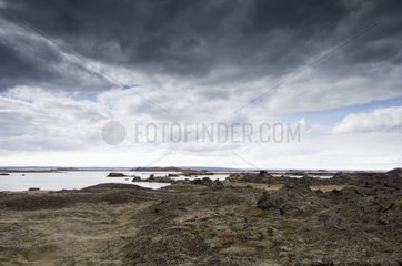 Lake Myvatn in der Nähe von Reykjahlid in Island