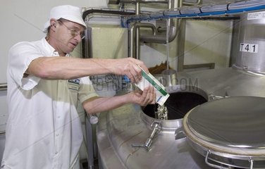 Ensemencement du lait avec ferments pour fabrication yaourts