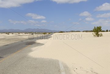 Sanddune überfüllt auf der Straßenwüste von Vizcaino