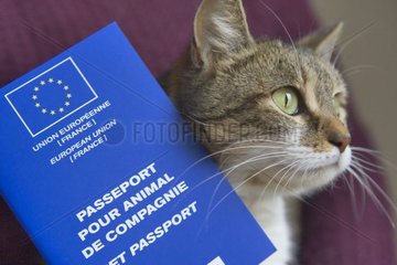 Passport to transport the domestic animals in Europe
