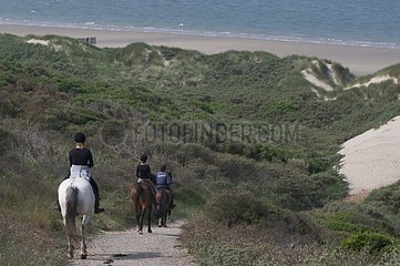 Trekking on horseback in the dunes Zealand Netherlands