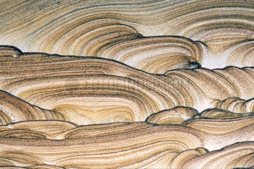 Waves and scratches on the landscape Gres of Utah USA