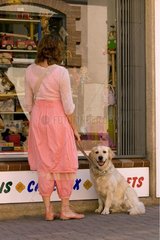 Hund Golden Retriever und seine Geliebte in Frankreich